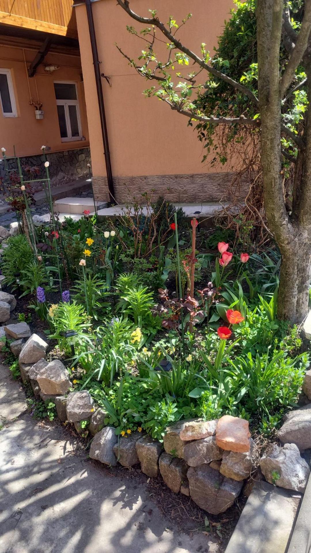 John Residence Apartment Brasov With Parking Option エクステリア 写真